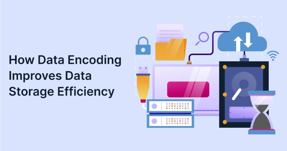 Online data encoding services for structured data management